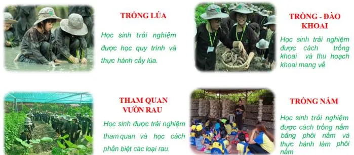 Ảnh có chứa văn bản, ảnh chụp màn hình

Nội dung do AI tạo ra có thể không chính xác.