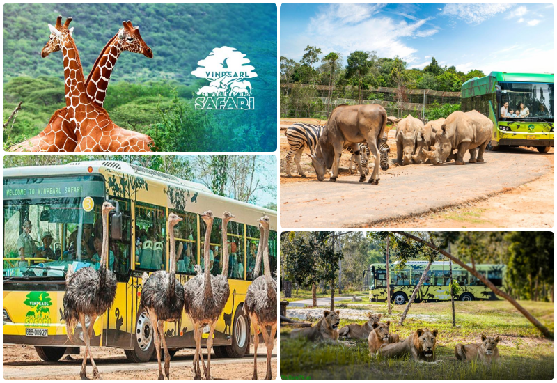 Thiên đường thú Vinpearl Safari Phú Quốc lập Kỷ lục Thế giới - HỘI KỶ LỤC  GIA VIỆT NAM - TỔ CHỨC KỶ LỤC VIỆT NAM(VIETKINGS)