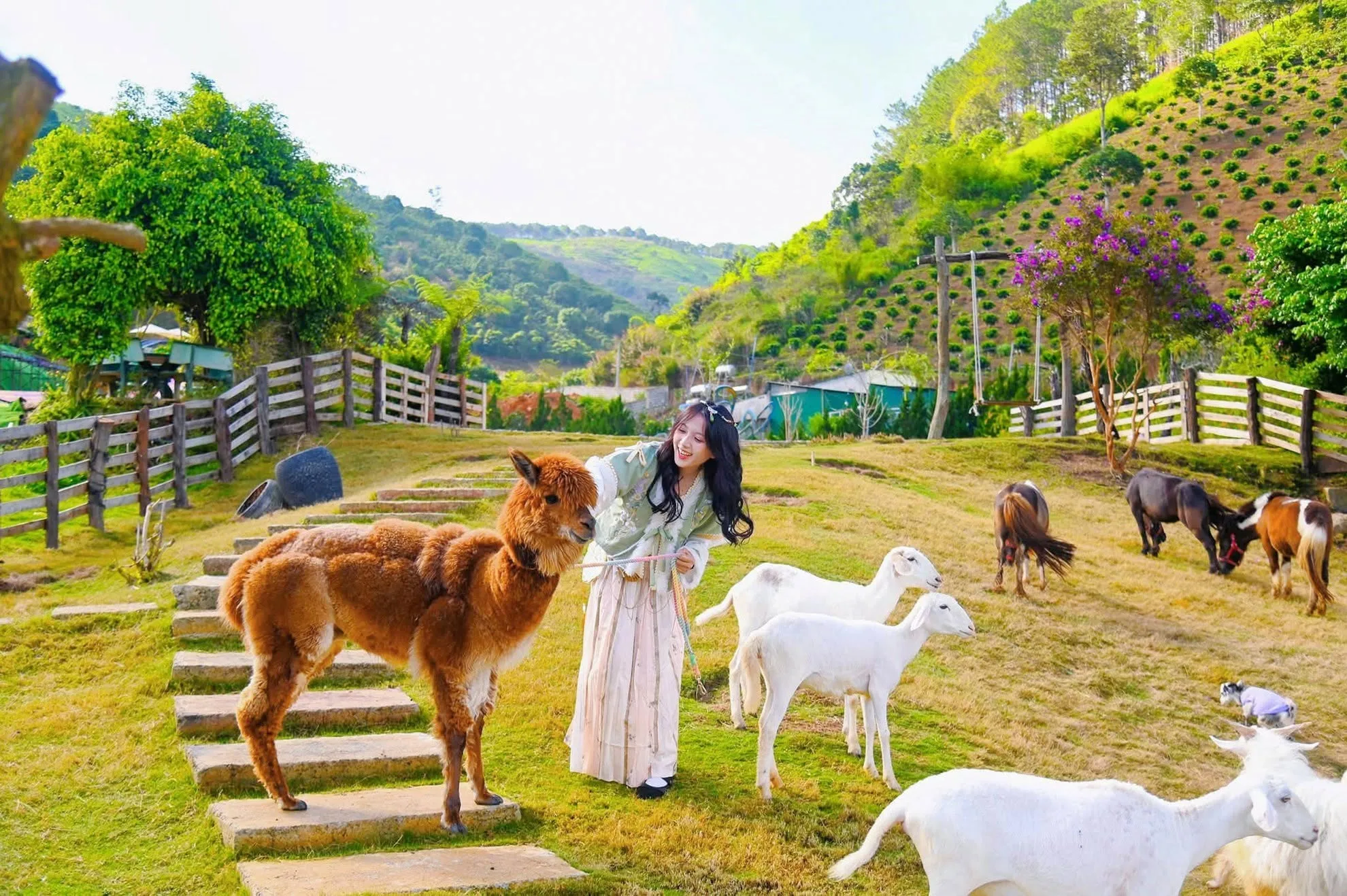 TOUR ĐÀ LẠT 3 NGÀY 3 ĐÊM GHEP ĐOÀN HÀNG TUẦN