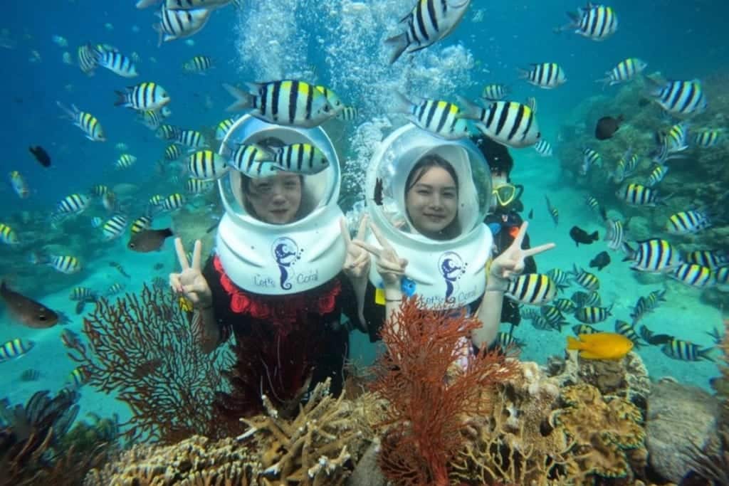 Tour đi Bộ Dưới đáy Biển Nha Trang Có Sức Hấp Dẫn Với Khách