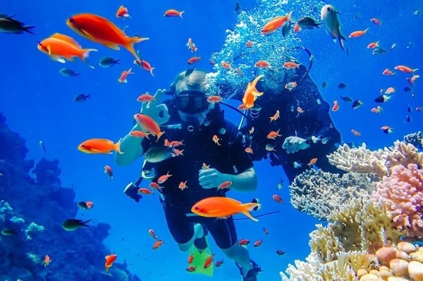 Tour lặn biển Nha Trang | Lặn ngắm san h&ocirc; gi&aacute; rẻ